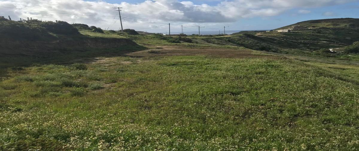 Foto de terreno habitacional en venta en mar caribe , mar de popotla, playas de rosarito, baja california, 27801914 No. 04