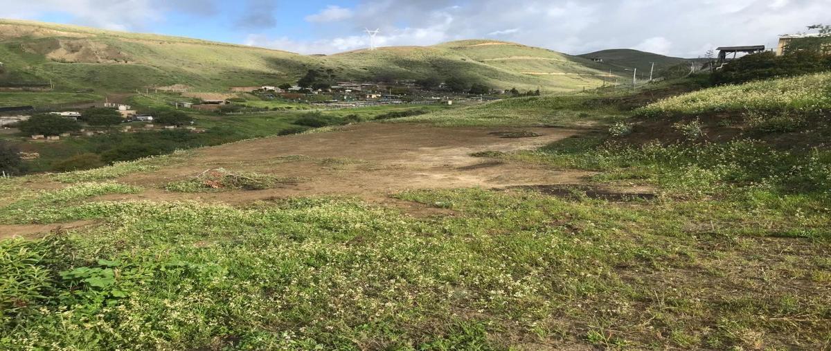 Foto de terreno habitacional en venta en mar caribe , mar de popotla, playas de rosarito, baja california, 27801914 No. 05