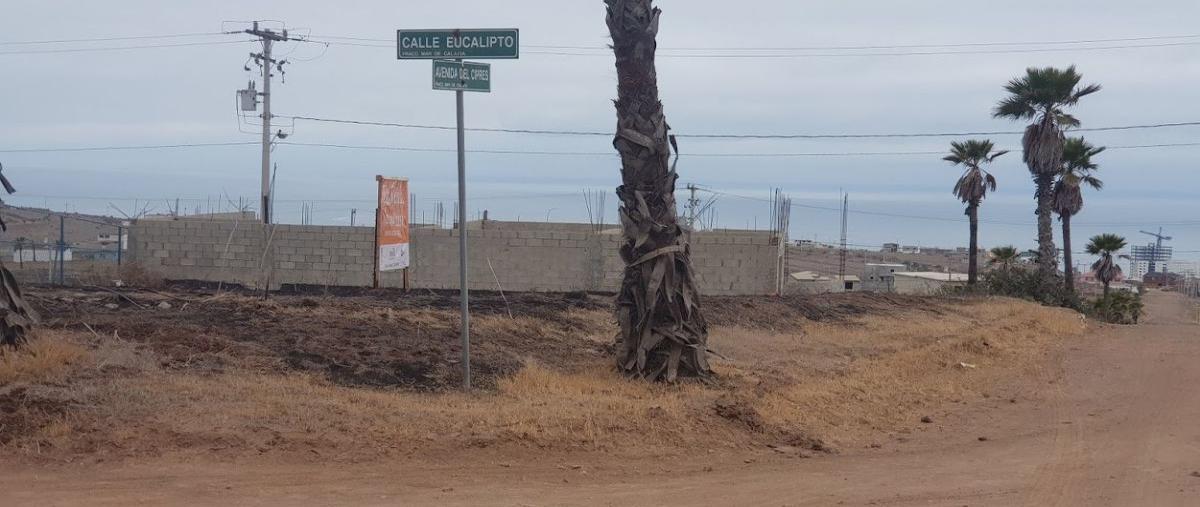 Foto de terreno habitacional en venta en  , mar de calafia, playas de rosarito, baja california, 13937942 No. 03