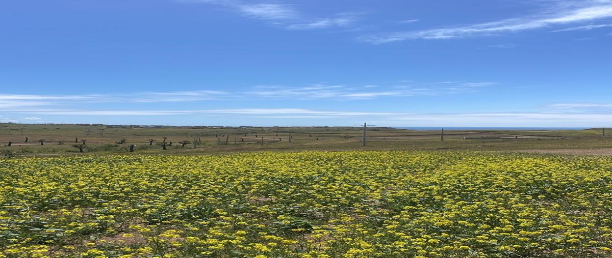 Foto de terreno habitacional en , mar de calafia, playas de rosarito, baja california, 29939755 foto 04 Foto de terreno habitacional en venta en , mar de calafia, playas de rosarito, baja california, 29939755 No. 04