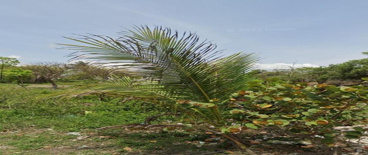 Foto de terreno habitacional en venta en mar de coral 50, anton lizardo, alvarado, veracruz de ignacio de la llave, 30810414 No. 04