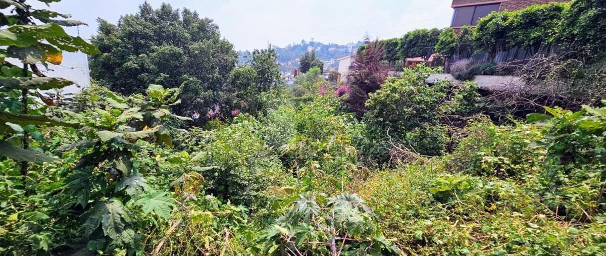 Foto de terreno habitacional en venta en mar de los vapores 76, ciudad brisa, naucalpan de juárez, méxico, 28654760 No. 03