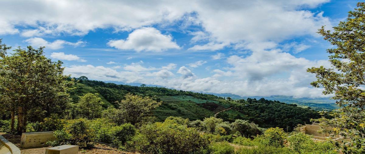 Foto de terreno habitacional en venta en mar de nubes , zacualpan de ecatepec, san cristóbal de las casas, chiapas, 31048083 No. 05