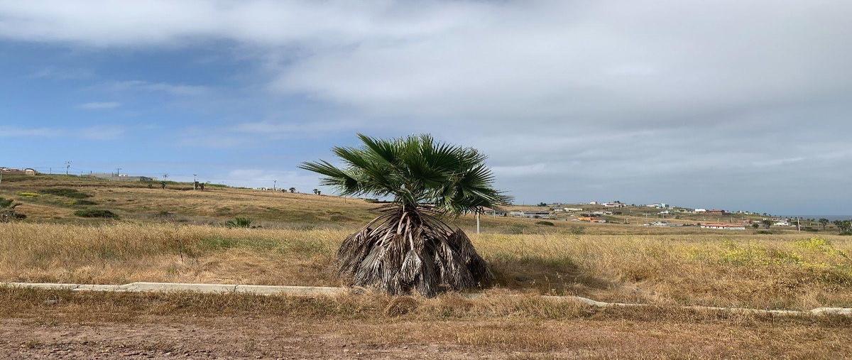 Foto de terreno habitacional en venta en  , mar de popotla, playas de rosarito, baja california, 30177515 No. 05