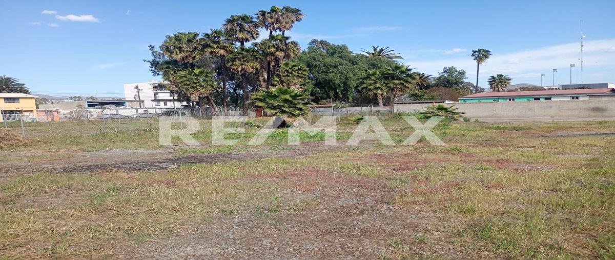 Foto de terreno comercial en renta en mar , tercer ayuntamiento, ensenada, baja california, 0 No. 05
