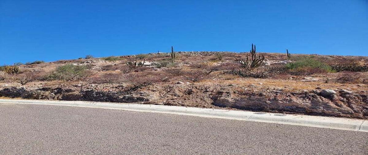 Foto de terreno habitacional en venta en maravia , centro, la paz, baja california sur, 28924916 No. 01