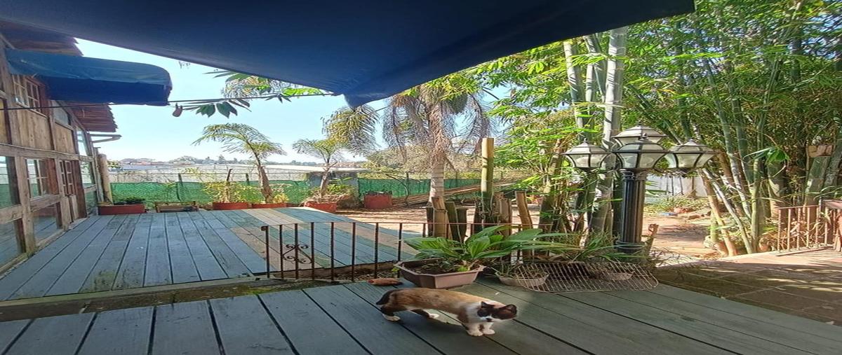 Foto de casa en venta en  , marco antonio muñoz, xalapa, veracruz de ignacio de la llave, 6708506 No. 03