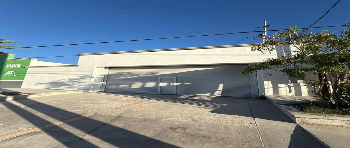 Foto de local en margarita maza de juarez , benito juárez oriente, la paz, baja california sur, 30909752 foto 01 Foto de local en renta en margarita maza de juarez , benito juárez oriente, la paz, baja california sur, 30909752 No. 01