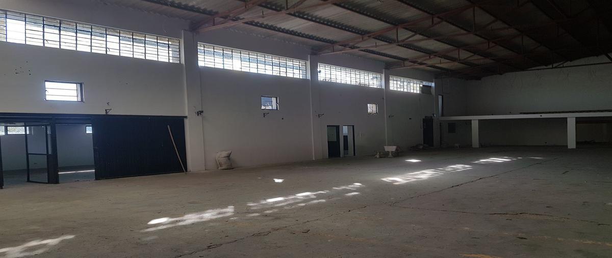 Foto de bodega en venta en margarita , teziutlán centro, teziutlán, puebla, 27693772 No. 03