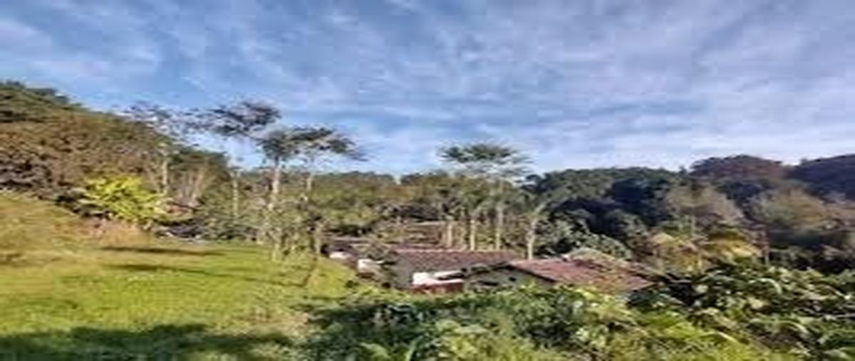 Foto de rancho en venta en margaritas , briones, coatepec, veracruz de ignacio de la llave, 27310066 No. 04