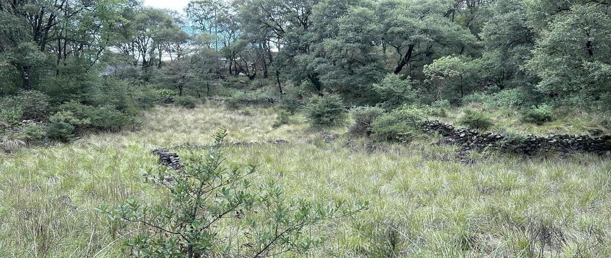 Foto de terreno habitacional en venta en margaritas52756 méx. , san miguel, ocoyoacac, méxico, 28282590 No. 03