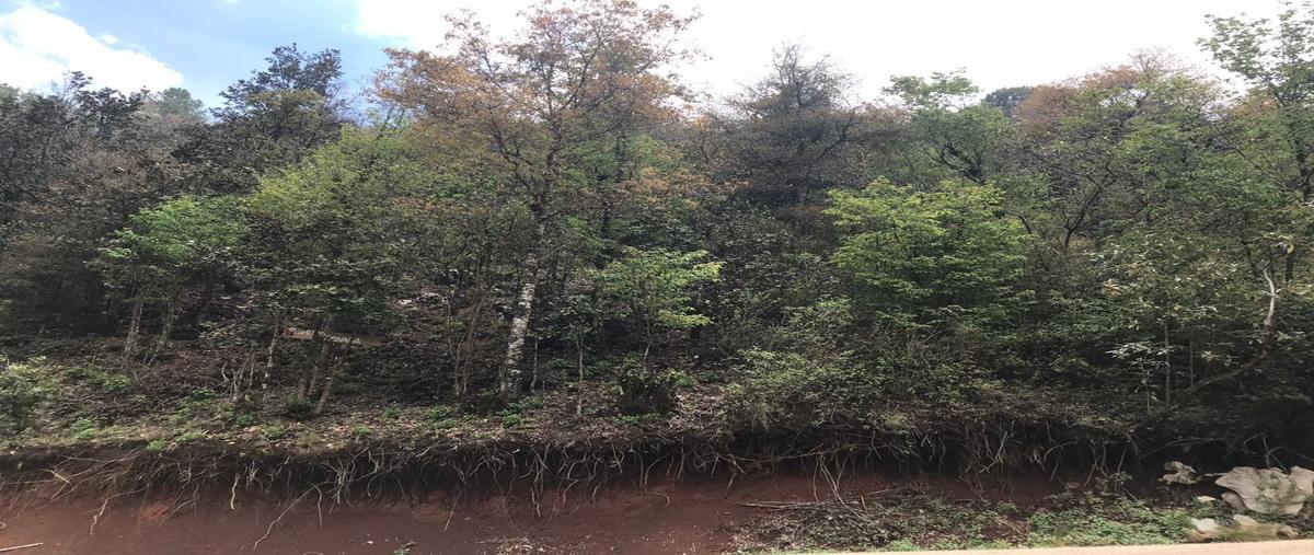 Foto de terreno habitacional en venta en  , maría auxiliadora, san cristóbal de las casas, chiapas, 20415495 No. 03