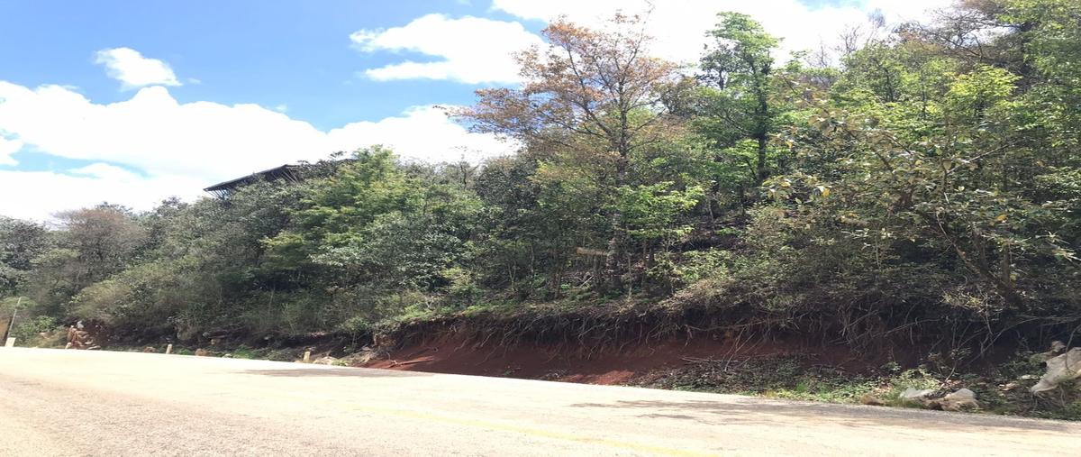 Foto de terreno habitacional en venta en  , maría auxiliadora, san cristóbal de las casas, chiapas, 20415495 No. 05