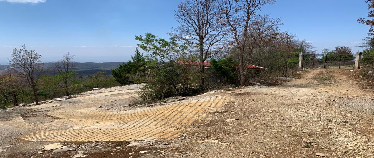 Foto de terreno habitacional en venta en  , maría auxiliadora, san cristóbal de las casas, chiapas, 26830124 No. 03