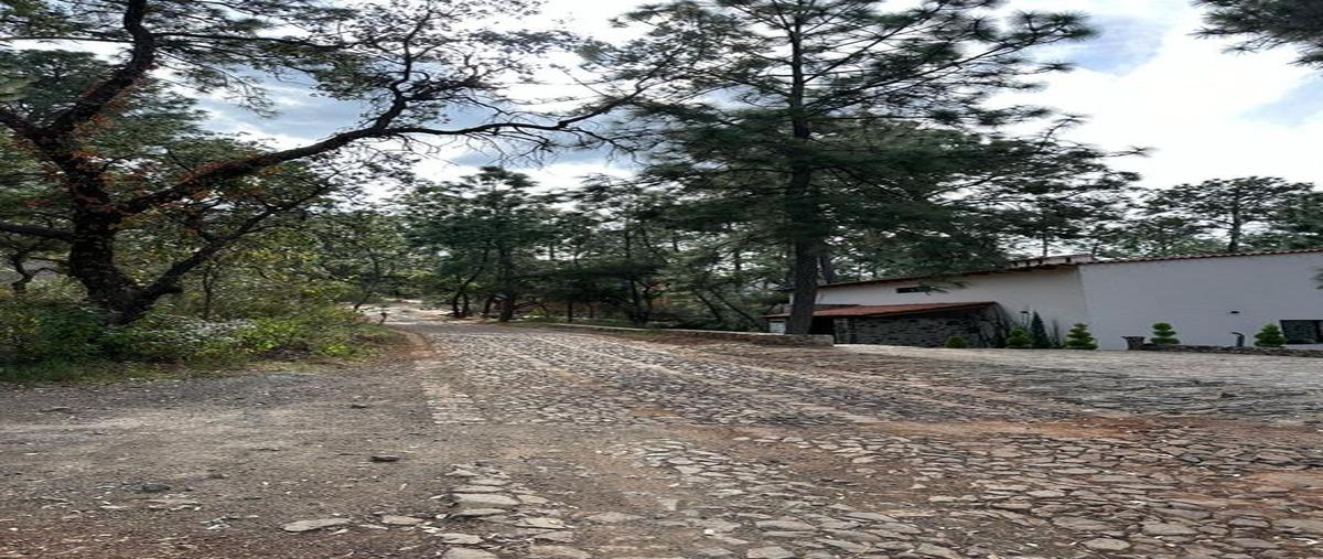 Foto de terreno habitacional en venta en maria del carmen aguilar 261, atemajac de brizuela, atemajac de brizuela, jalisco, 0 No. 05