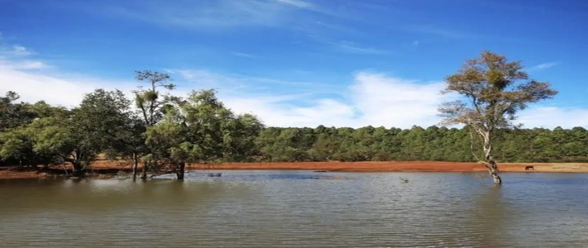 Foto de terreno habitacional en venta en maría del carmen aguilar , atemajac de brizuela, atemajac de brizuela, jalisco, 29510031 No. 03