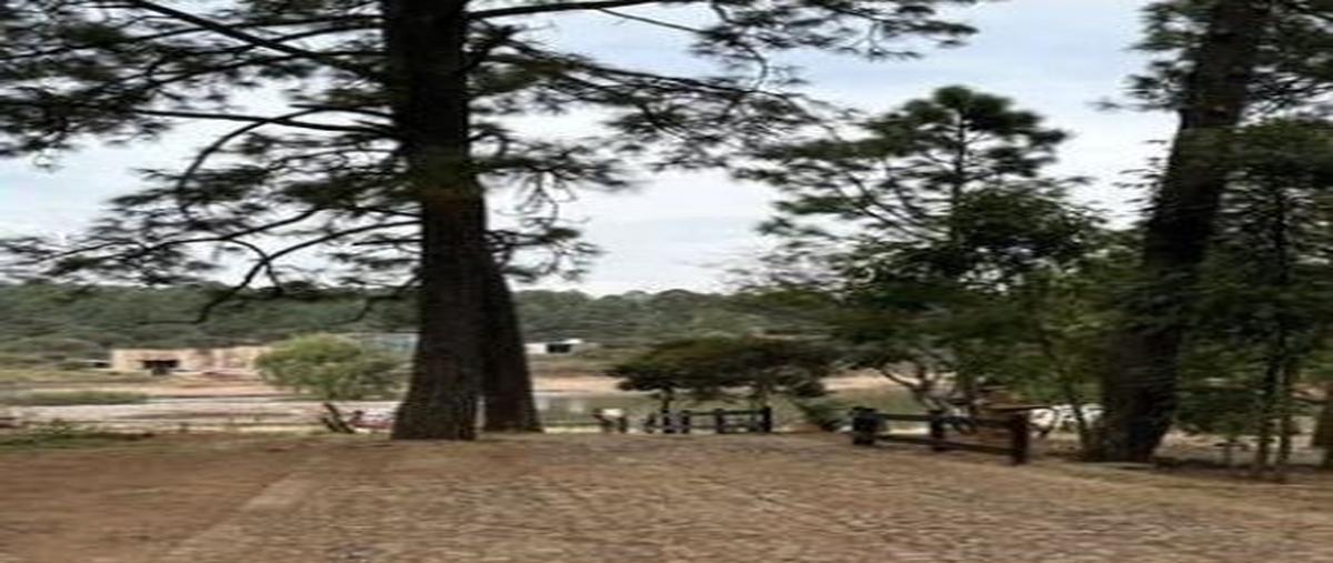 Foto de terreno habitacional en venta en maría del carmen aguilar , atemajac de brizuela, atemajac de brizuela, jalisco, 29510031 No. 04