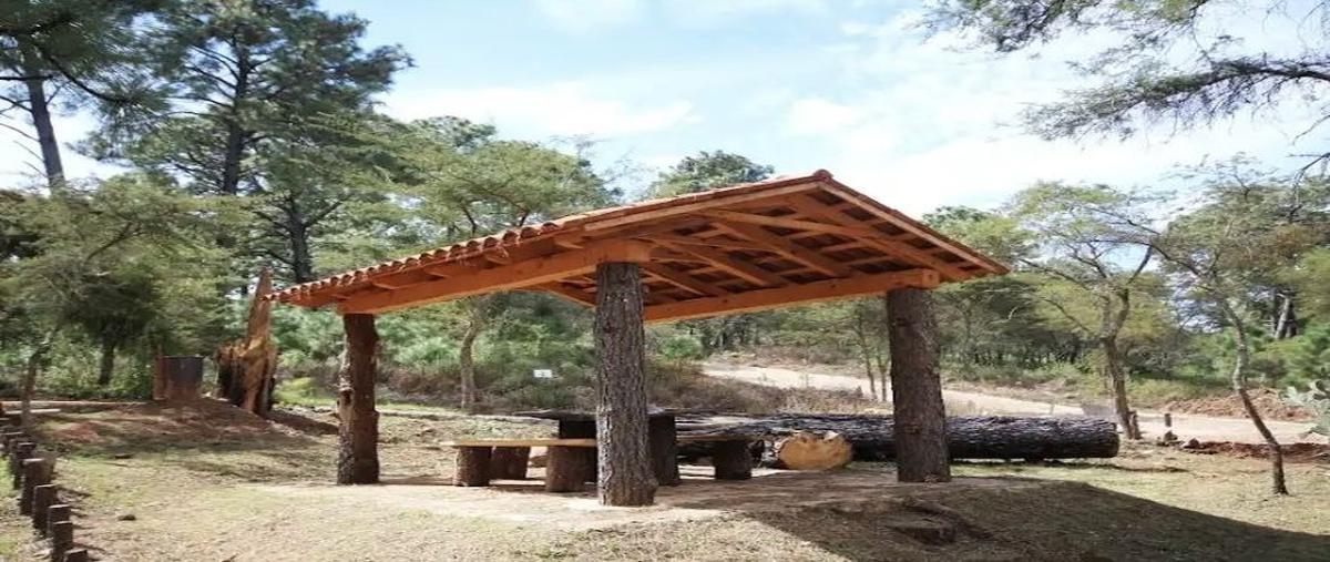 Foto de terreno habitacional en venta en maría del carmen aguilar , atemajac de brizuela, atemajac de brizuela, jalisco, 29510031 No. 05