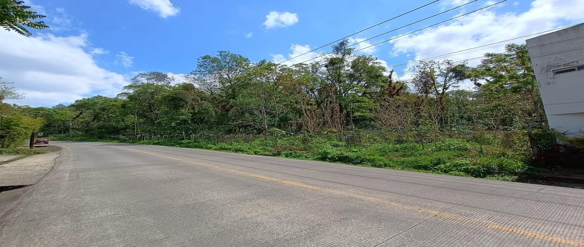 Foto de terreno habitacional en venta en  , mariano escobedo, coatepec, veracruz de ignacio de la llave, 14824282 No. 03