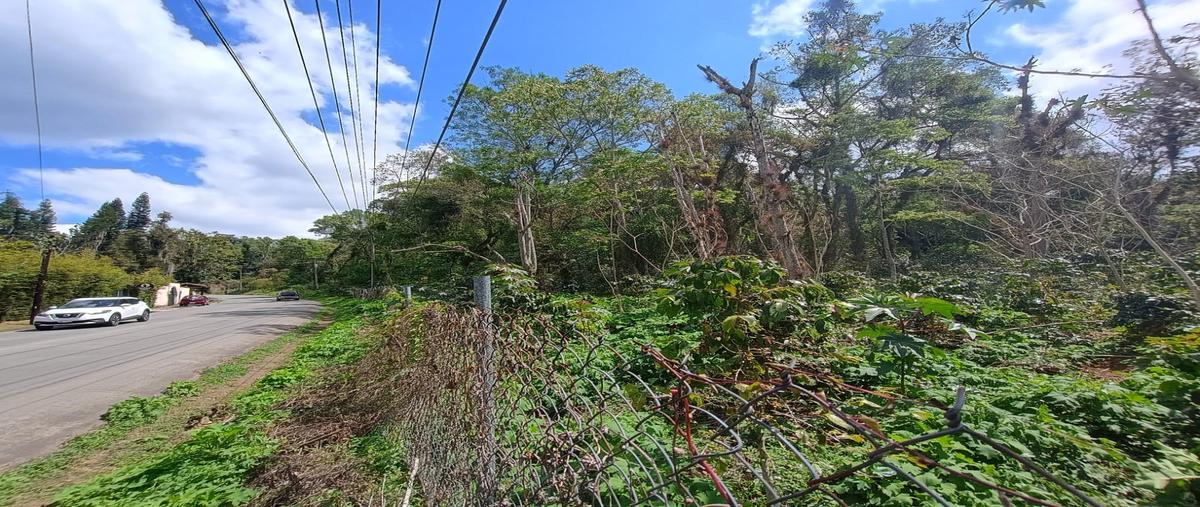 Foto de terreno habitacional en venta en  , mariano escobedo, coatepec, veracruz de ignacio de la llave, 14824282 No. 04