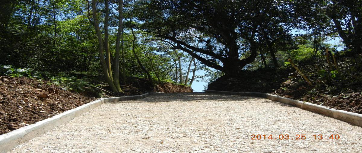 Foto de terreno habitacional en venta en  , mariano escobedo, coatepec, veracruz de ignacio de la llave, 0 No. 01