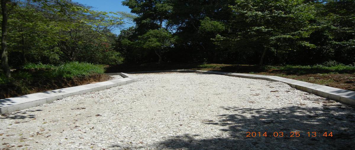 Foto de terreno habitacional en venta en  , mariano escobedo, coatepec, veracruz de ignacio de la llave, 16204370 No. 03