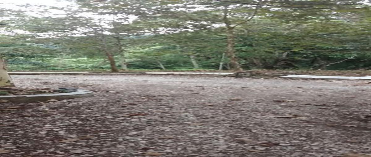 Foto de terreno habitacional en venta en  , mariano escobedo, coatepec, veracruz de ignacio de la llave, 16204370 No. 04