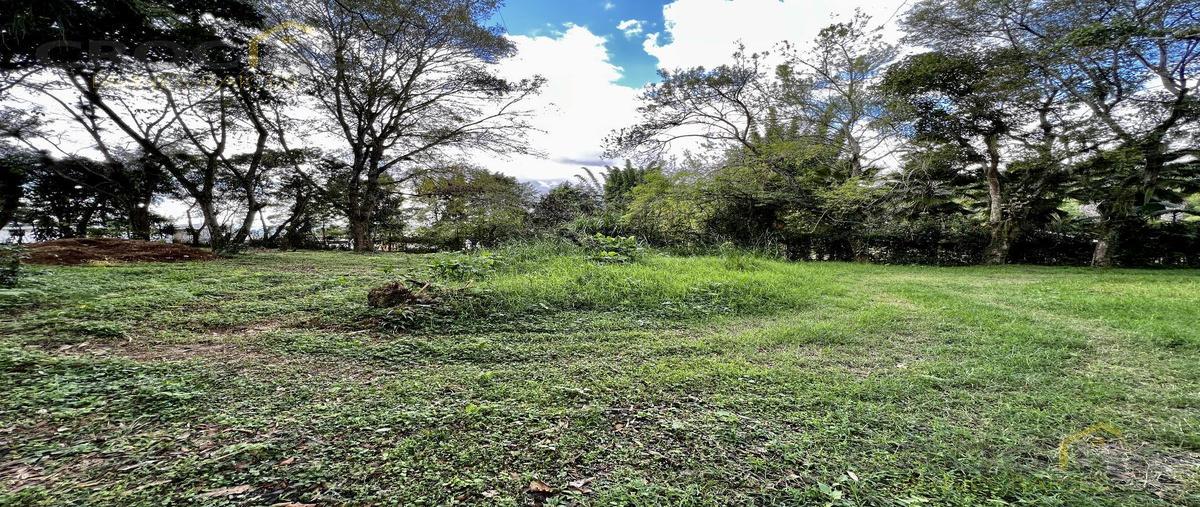 Foto de terreno habitacional en venta en  , mariano escobedo, coatepec, veracruz de ignacio de la llave, 0 No. 03