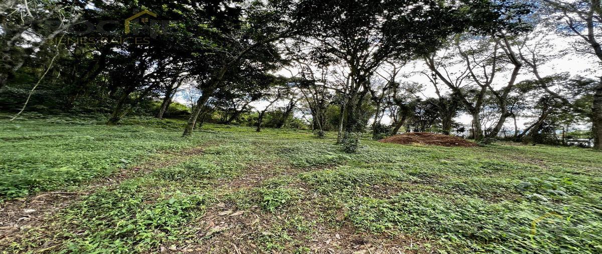 Foto de terreno habitacional en venta en  , mariano escobedo, coatepec, veracruz de ignacio de la llave, 0 No. 05