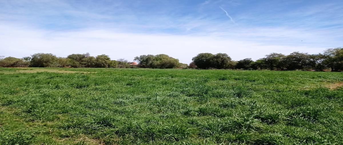 Foto de terreno comercial en venta en mariano jimenez 100-a, soledad de graciano sanchez centro, soledad de graciano sánchez, san luis potosí, 0 No. 02