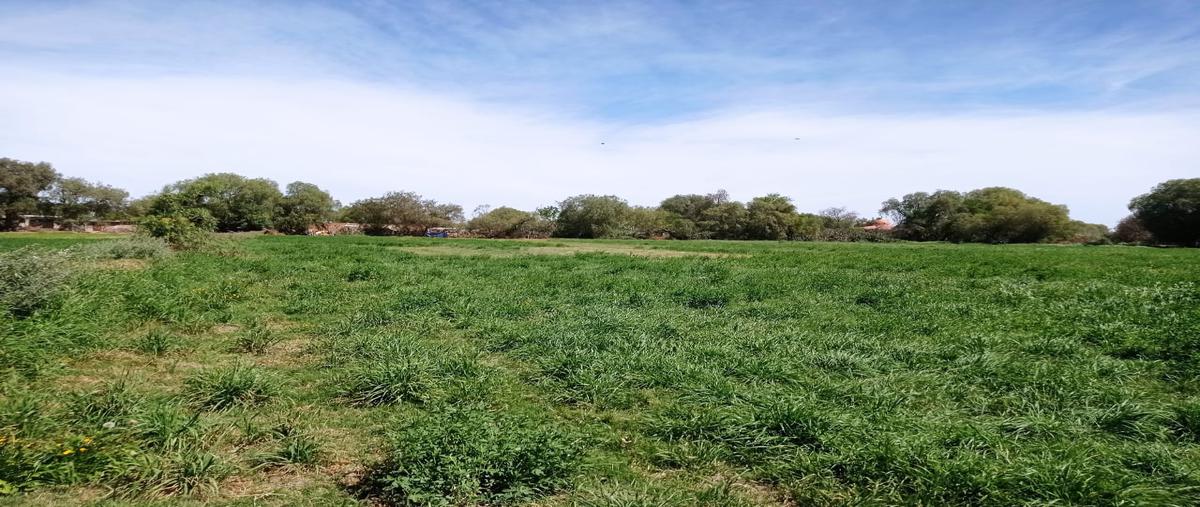 Foto de terreno comercial en venta en mariano jimenez 100-a, soledad de graciano sanchez centro, soledad de graciano sánchez, san luis potosí, 0 No. 03