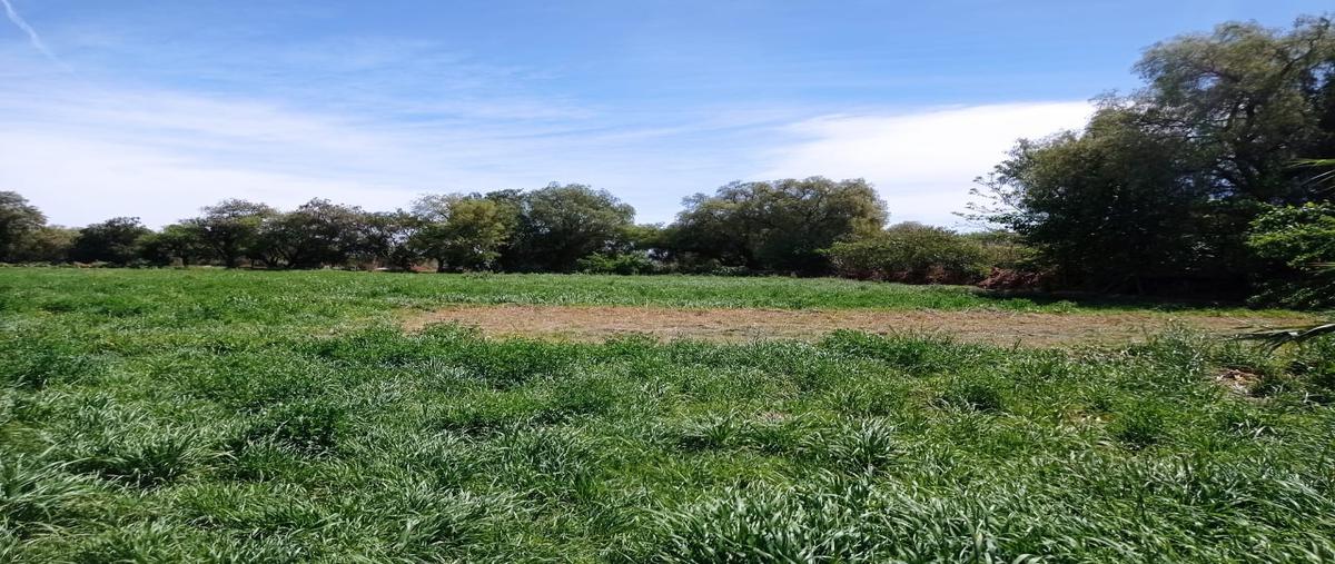 Foto de terreno comercial en venta en mariano jimenez 100-a, soledad de graciano sanchez centro, soledad de graciano sánchez, san luis potosí, 0 No. 05