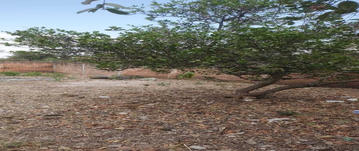 Foto de terreno habitacional en venta en mariano jimenez , la morita, hidalgo, michoacán de ocampo, 28426053 No. 03