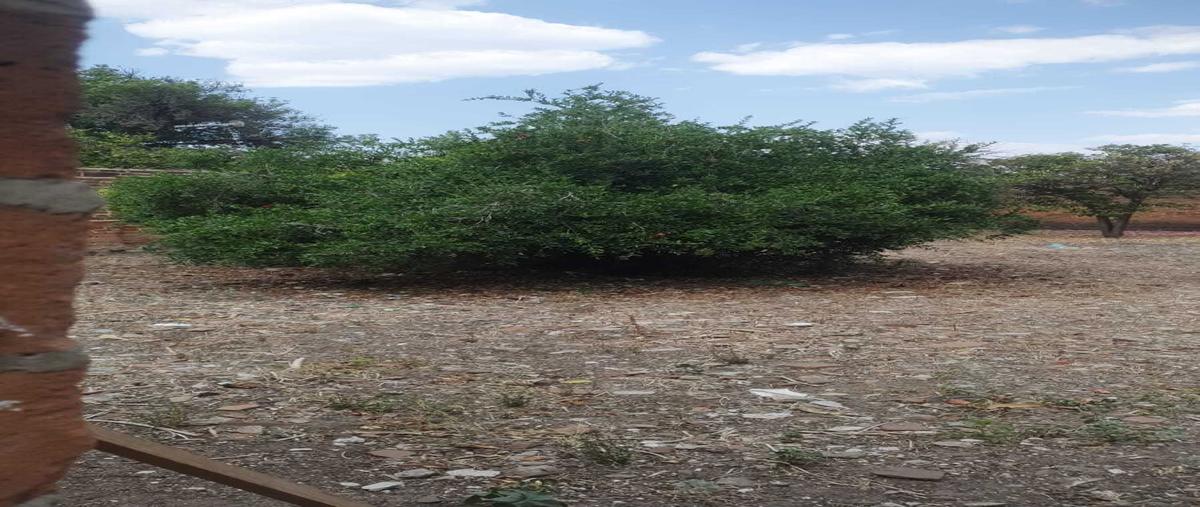 Foto de terreno habitacional en venta en mariano jimenez , la morita, hidalgo, michoacán de ocampo, 28426053 No. 04