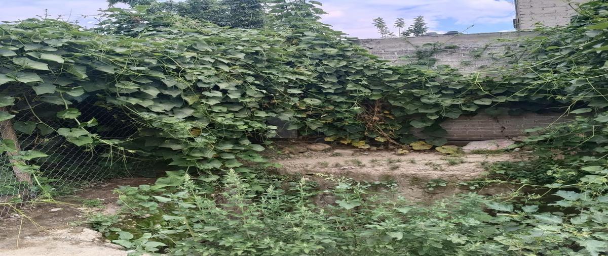 Foto de terreno habitacional en renta en mariano matamoros 2, san miguel tocuila, texcoco, méxico, 28097711 No. 02