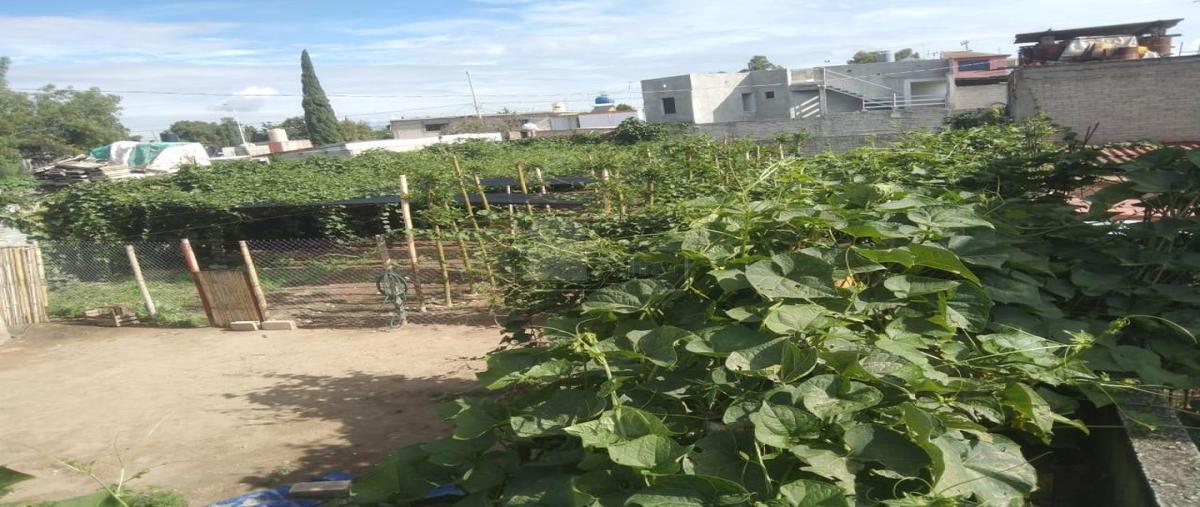 Foto de terreno habitacional en renta en mariano matamoros 2, san miguel tocuila, texcoco, méxico, 28097711 No. 04
