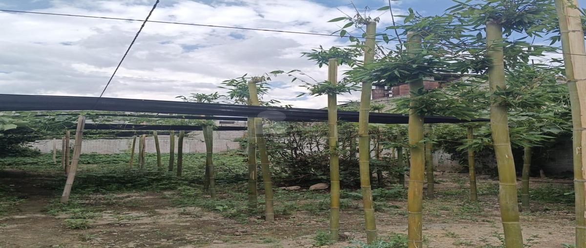 Foto de terreno habitacional en renta en mariano matamoros 2, san miguel tocuila, texcoco, méxico, 28097711 No. 05