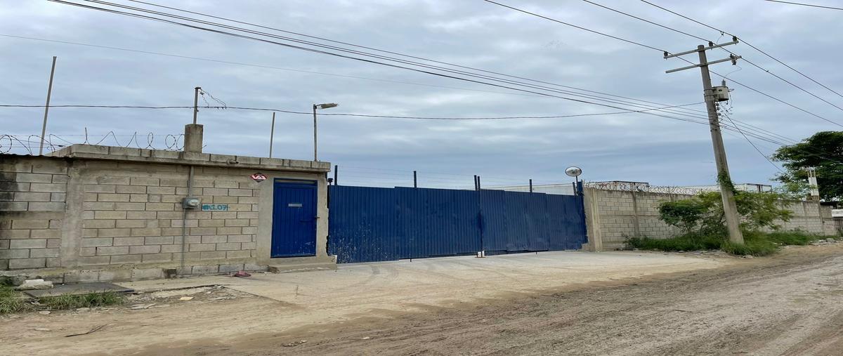 Foto de terreno comercial en mariano matamoros , américo villarreal, altamira, tamaulipas, 28174811 foto 02 Foto de terreno comercial en renta en mariano matamoros , américo villarreal, altamira, tamaulipas, 28174811 No. 02