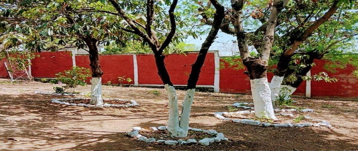 Foto de casa en venta en mariano salas lote 10, juan morales, yecapixtla, morelos, 28096945 No. 03