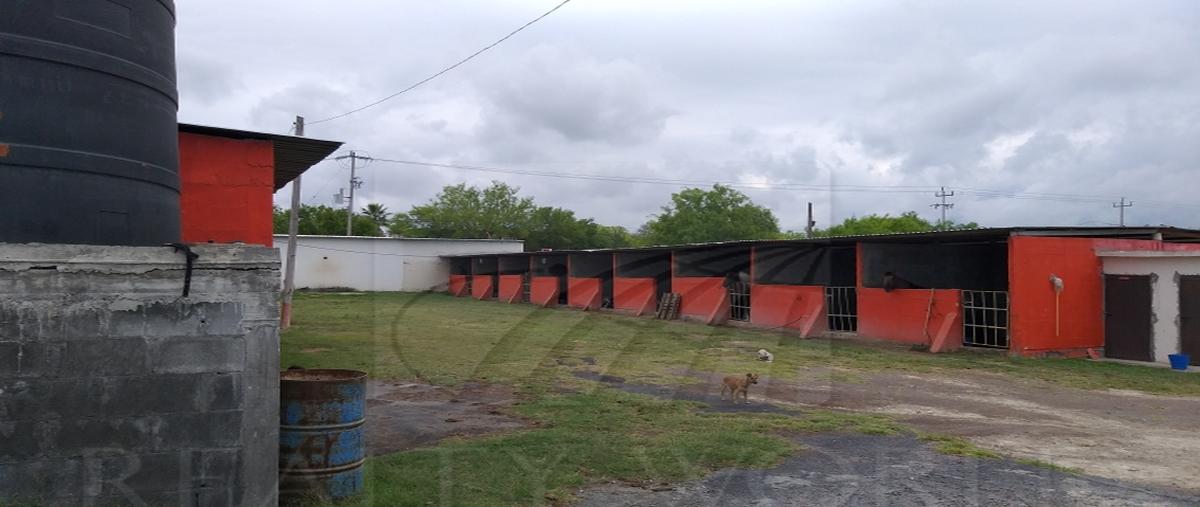 Foto de rancho en renta en  , marin, marín, nuevo león, 26548219 No. 03