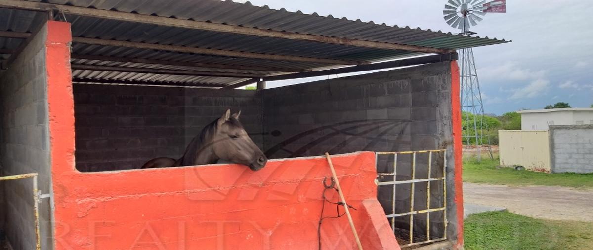 Foto de rancho en renta en  , marin, marín, nuevo león, 26548219 No. 05