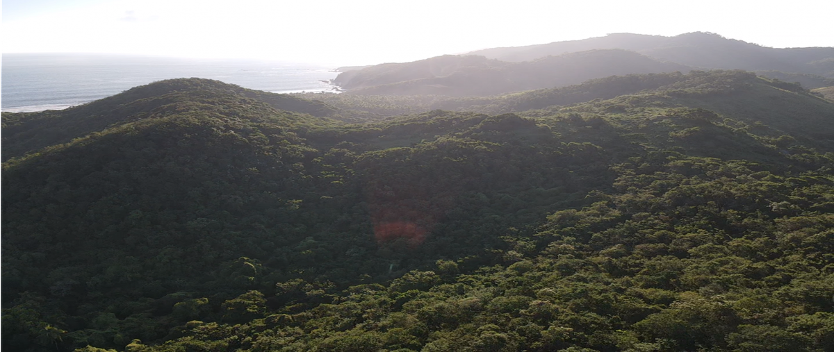 Foto de terreno habitacional en venta en  , marina ixtapa, zihuatanejo de azueta, guerrero, 0 No. 05