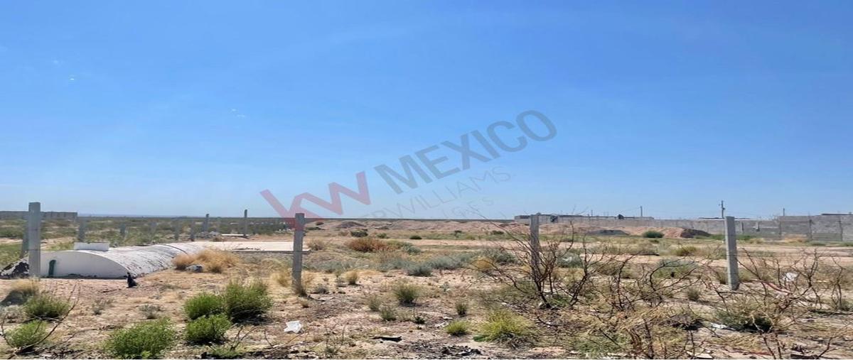 Foto de terreno habitacional en renta en mario ruiz terrazas 110, loma blanca san isidro, juárez, chihuahua, 27189792 No. 03