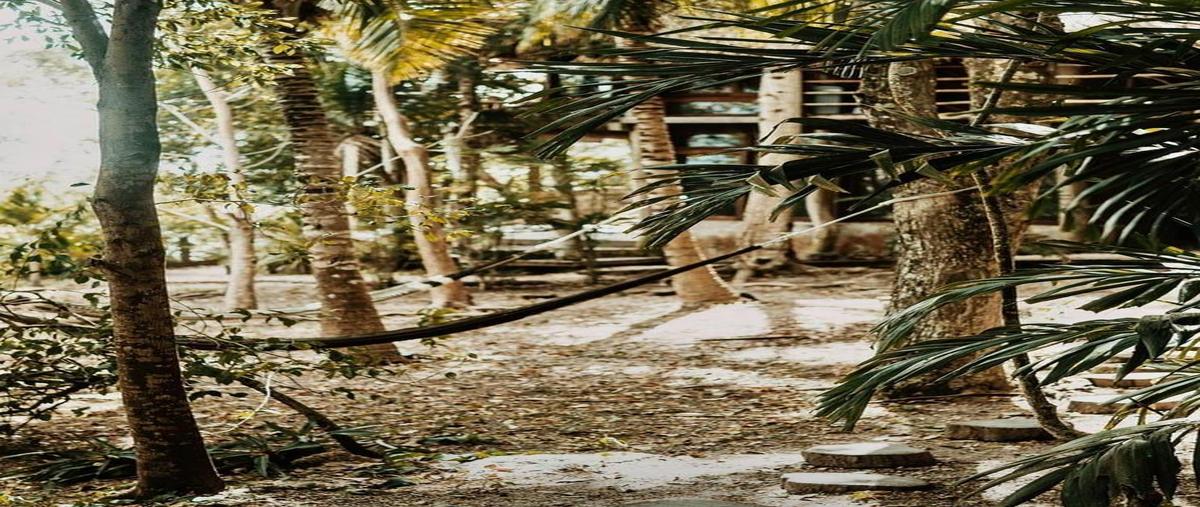 Foto de rancho en venta en  , mario villanueva, bacalar, quintana roo, 0 No. 05