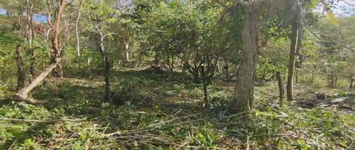 Foto de terreno habitacional en venta en  , mario villanueva, bacalar, quintana roo, 0 No. 03