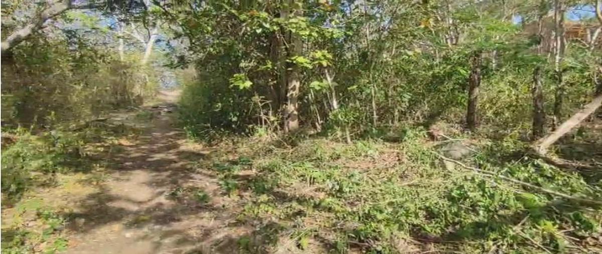 Foto de terreno habitacional en venta en  , mario villanueva, bacalar, quintana roo, 0 No. 04