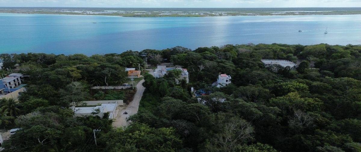Foto de terreno habitacional en , mario villanueva, bacalar, quintana roo, 0 foto 01 Foto de terreno habitacional en venta en , mario villanueva, bacalar, quintana roo, 0 No. 01