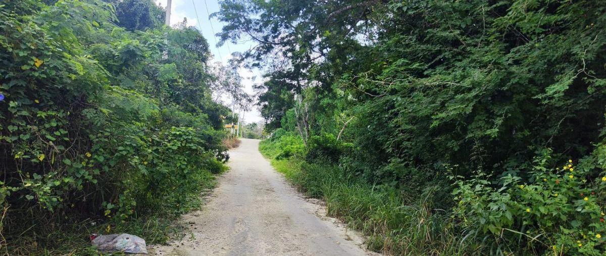Foto de terreno habitacional en , mario villanueva, bacalar, quintana roo, 0 foto 02 Foto de terreno habitacional en venta en , mario villanueva, bacalar, quintana roo, 0 No. 02