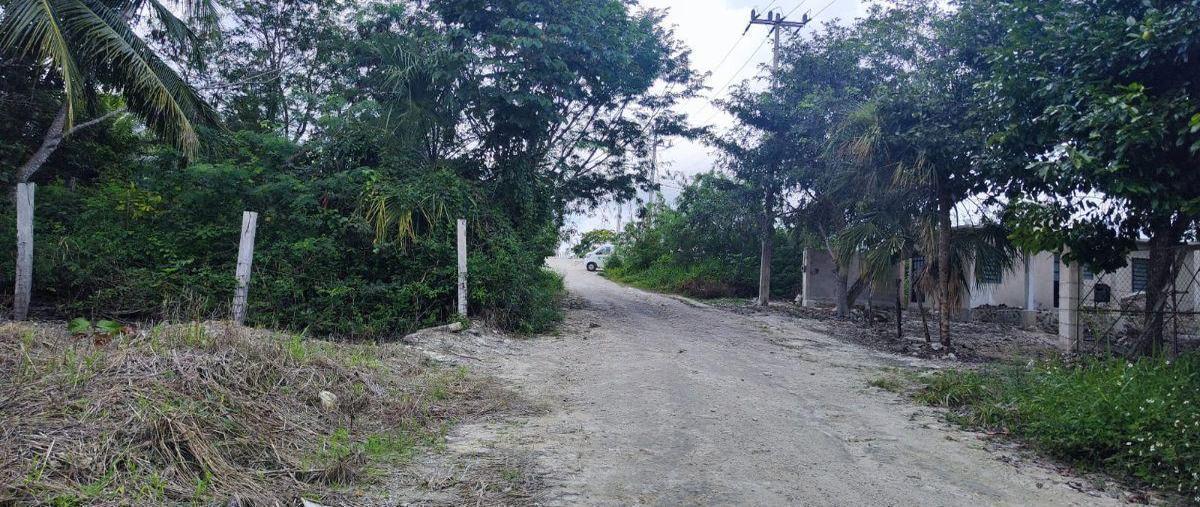 Foto de terreno habitacional en , mario villanueva, bacalar, quintana roo, 0 foto 03 Foto de terreno habitacional en venta en , mario villanueva, bacalar, quintana roo, 0 No. 03