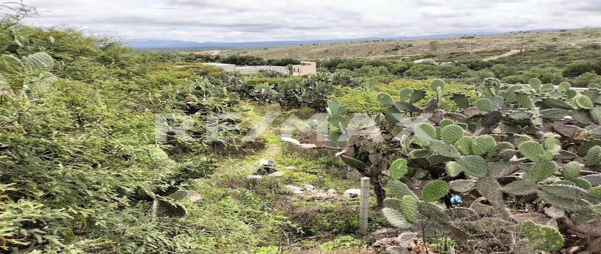 Foto de terreno habitacional en venta en mariscala , mineral de pozos, san luis de la paz, guanajuato, 30157519 No. 05
